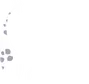 Purple Giraffe