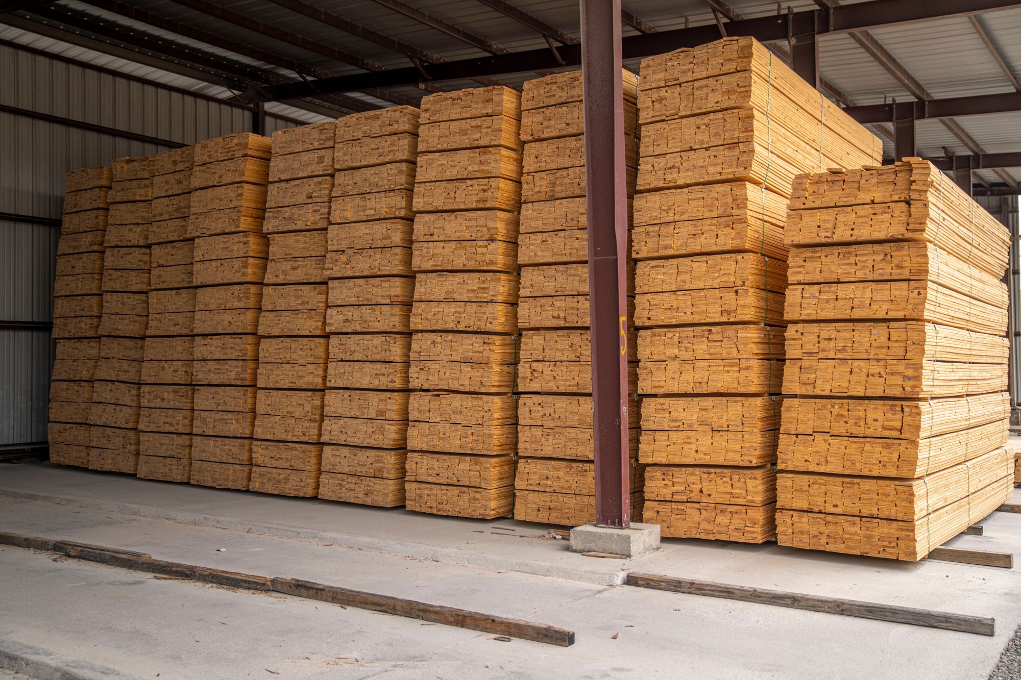 Spotted gum, blackbutt and merbau decking boards side by side